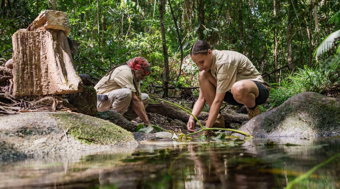 Two guides leading a Dreamtime Walk through the Daintree Rainforest at Mossman Gorge Cultural Centre