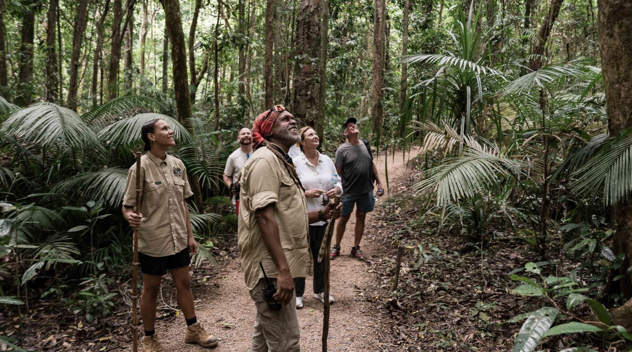 A guided Dreamtime Walk within the Daintree Rainforest